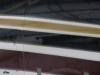 Thumbs 1