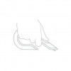 Thumbs 1