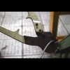 Thumbs 1