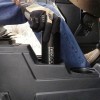 Thumbs 1