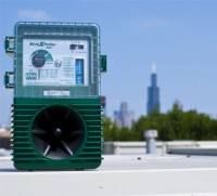 Bird Deterrents
