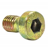 Fuel Pumps
